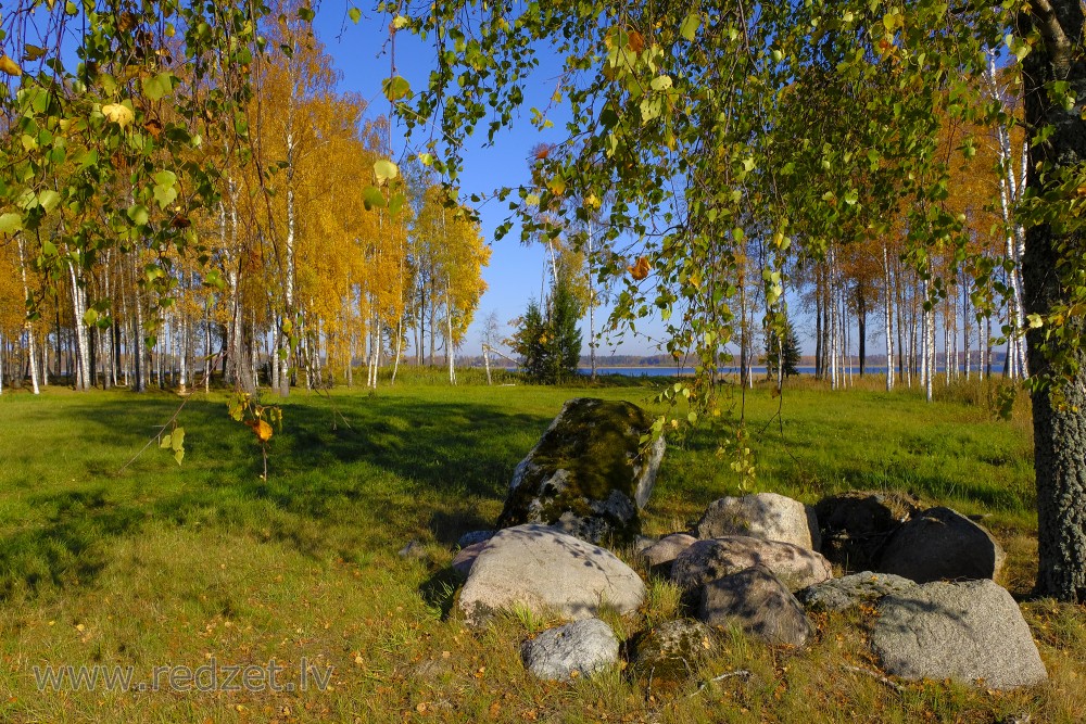 Rudens ainava ar bērziem un akmeņiem