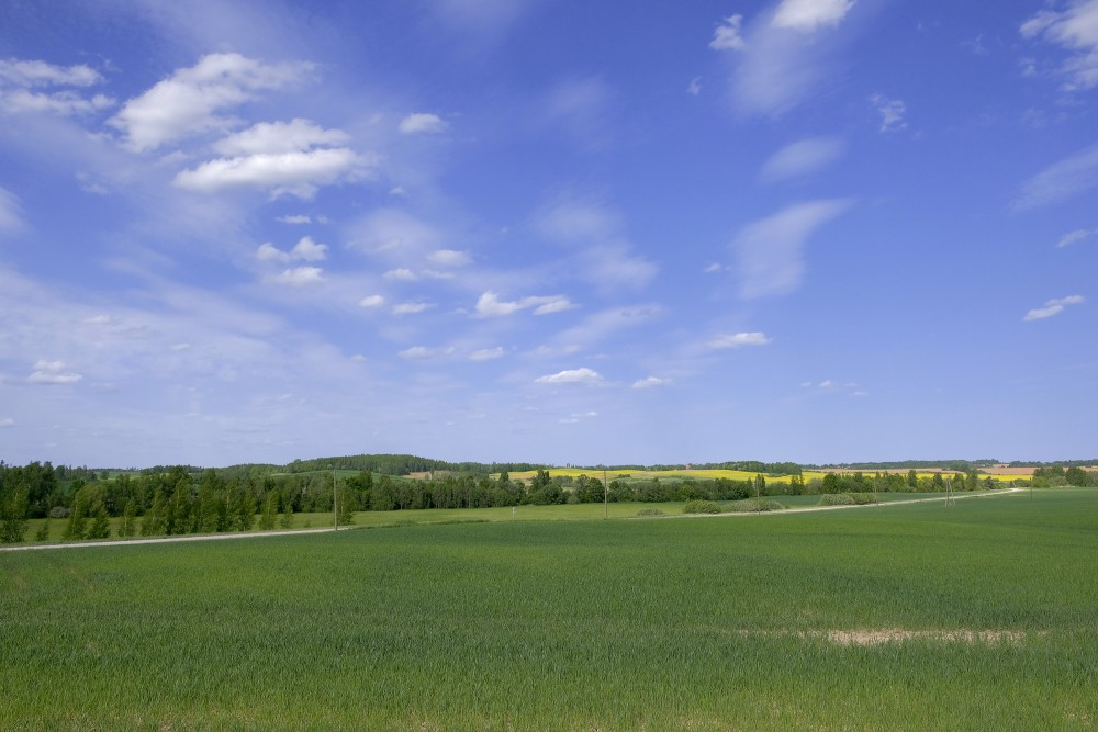 Landscape with a Field of Crops