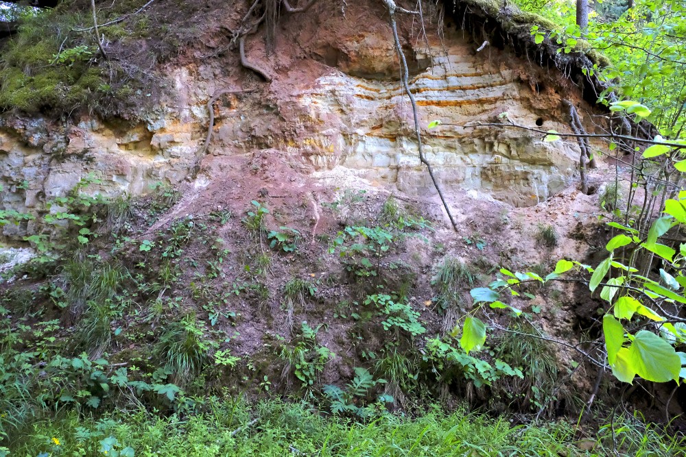 Omiķu gravas dolomīta atsegums