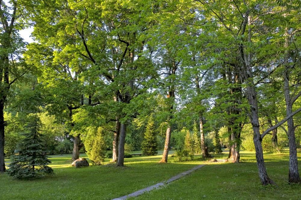 Vārmes muižas parks