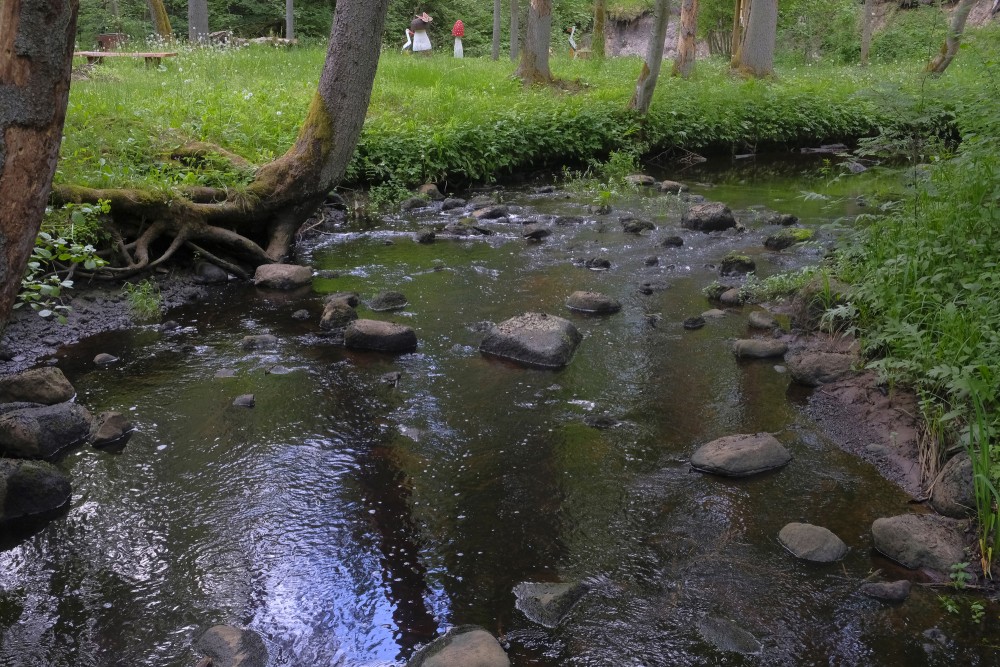 Dienvidsusēja Gārsenes meža parkā