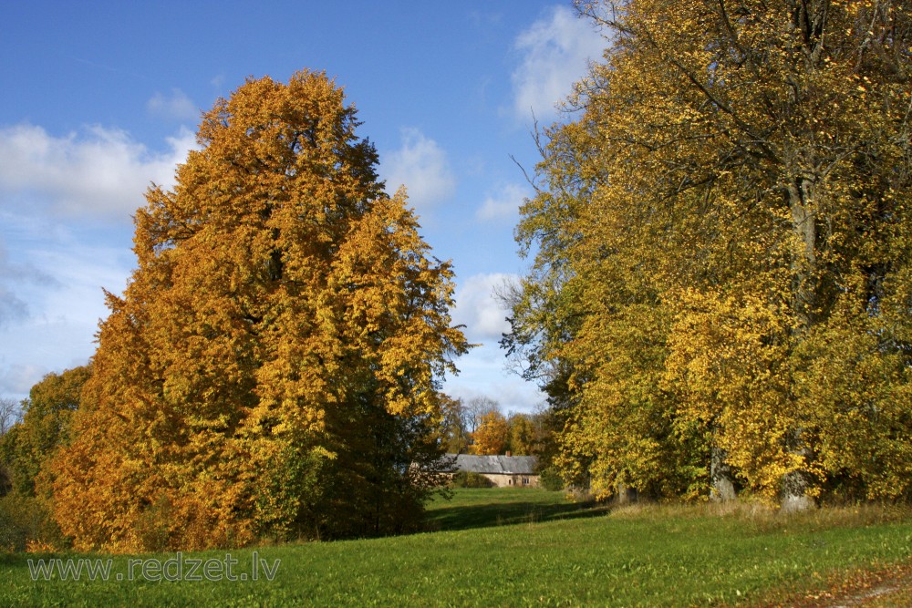 Rudens Pedvāles Brīvdabas mākslas muzejā