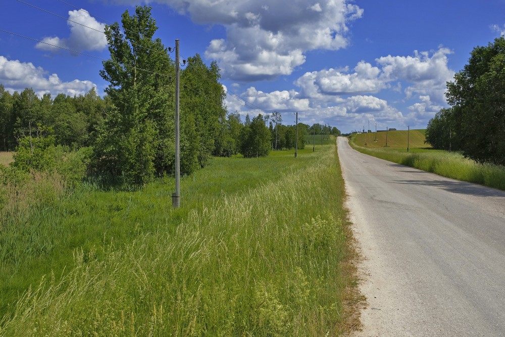 Summer Landscape With Clouds