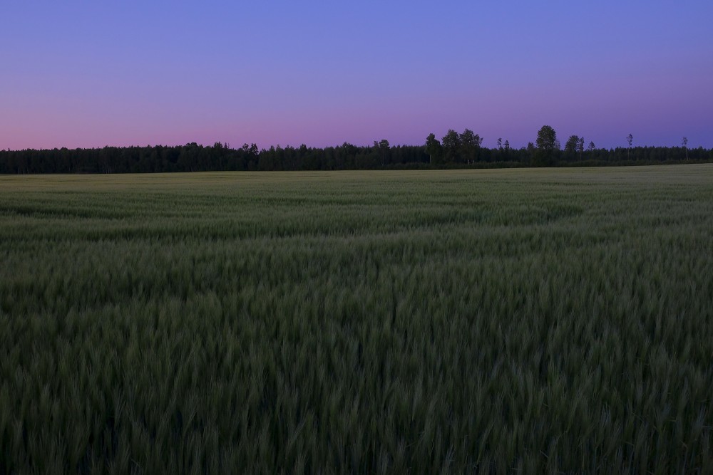 In the Countryside After Sunset