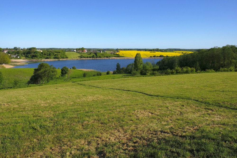 View Of Lake Saldus