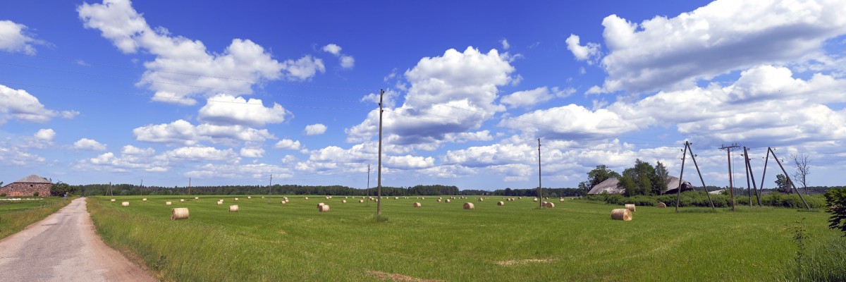 Summer Rural Panorama with Hay Rolls on a Green Meadow