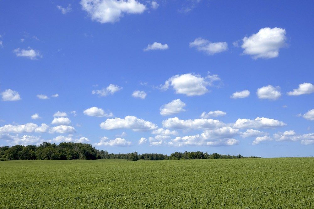 Countryside Landscape With Cumulus Clouds