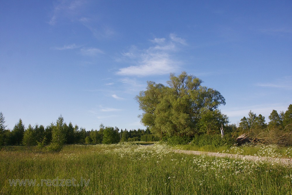 Lauku ainava