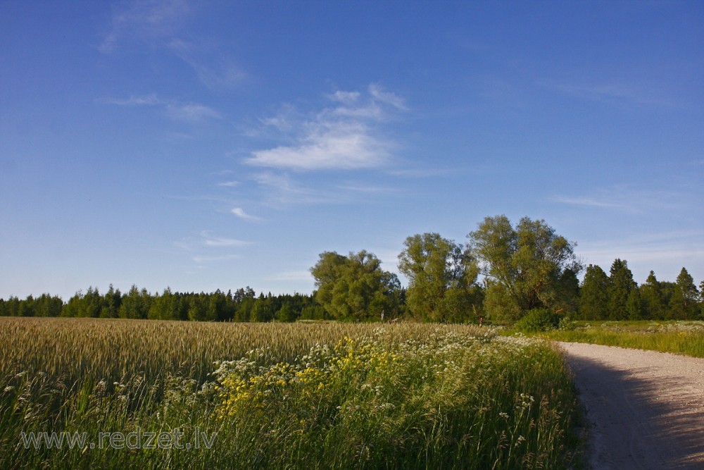 Lauku ainava