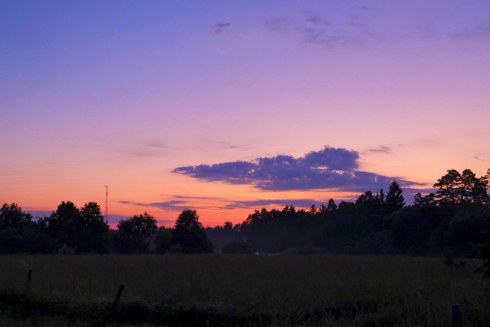 Red Morning Sky