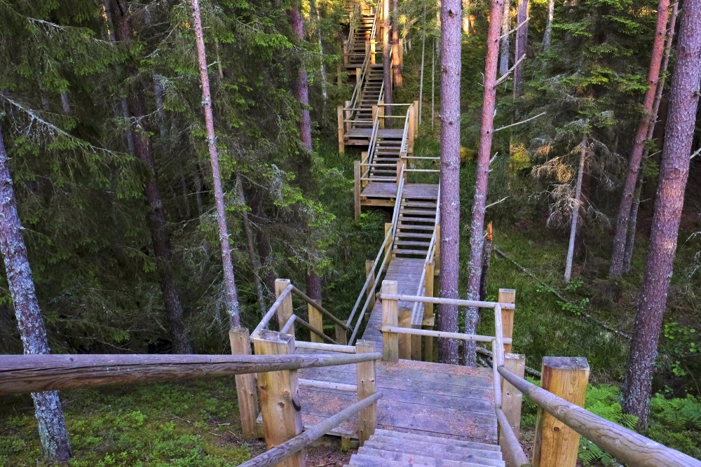 Kāpnes Pēterezera dabas takā