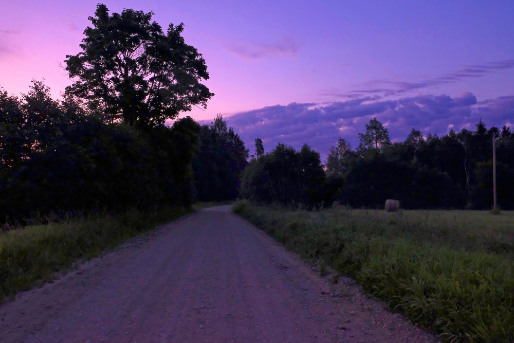 Rural Landscape in the Early Morning