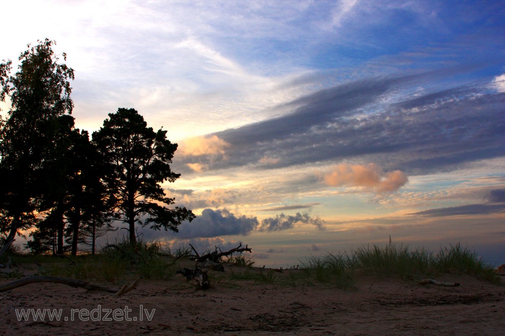 Cape Kolka Landscape, Latvia