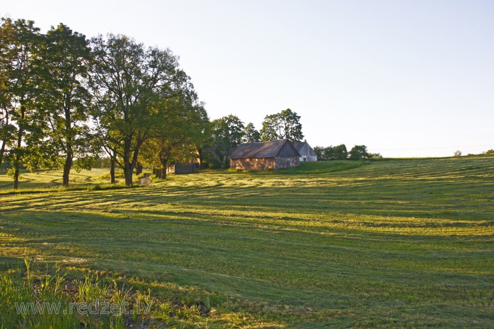 Nopļauta pļava