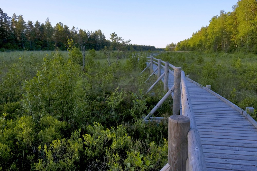 Pēterezera viga Pēterezera viga