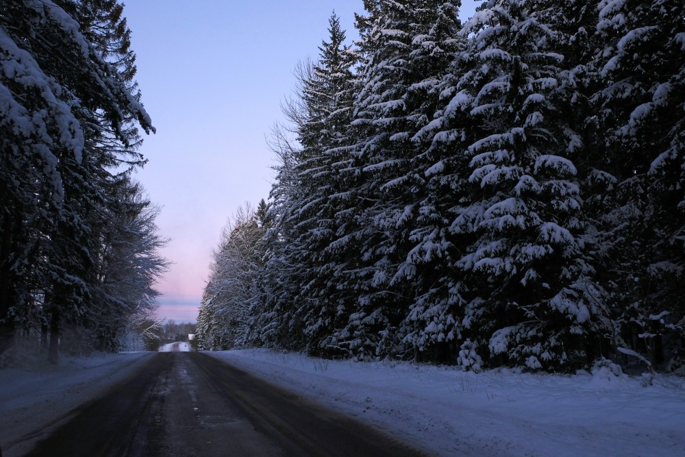 Winter Evening Landscape, Road, Forest