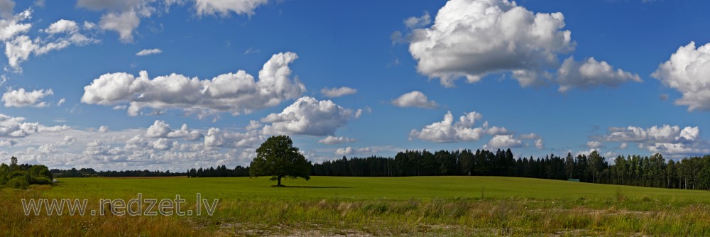 Lauku panorāma