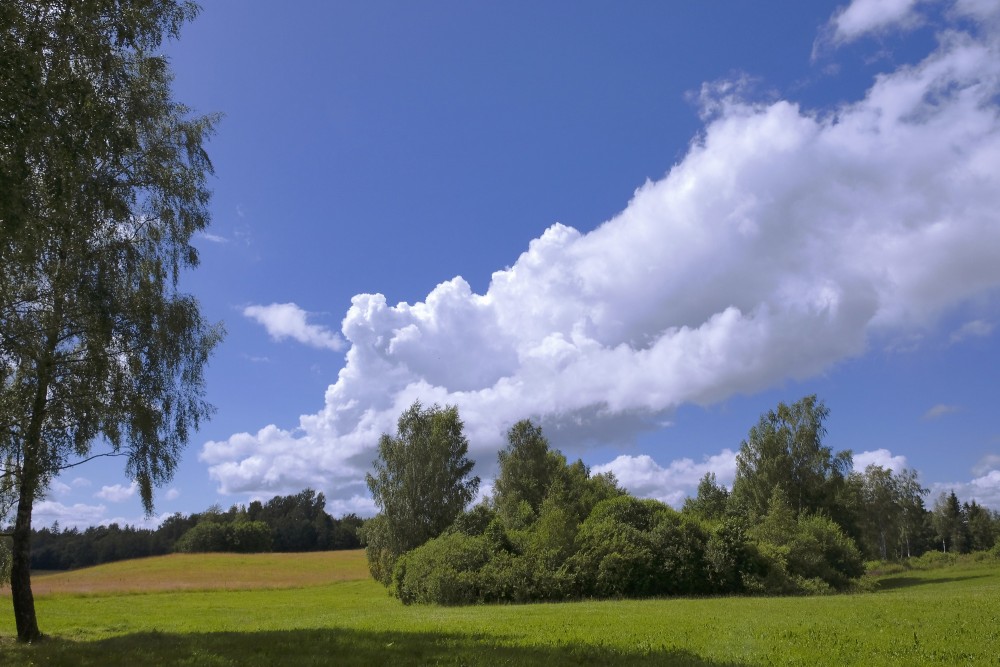 Large Cumulus Cloud