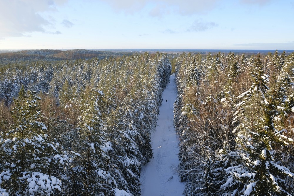 Ziemas ainava skatā no Ogres skatu torņa