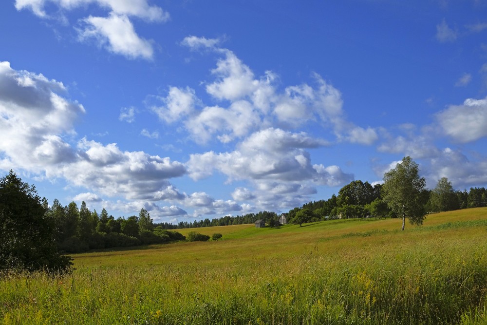 Countryside Landscape With Cumulus Clouds