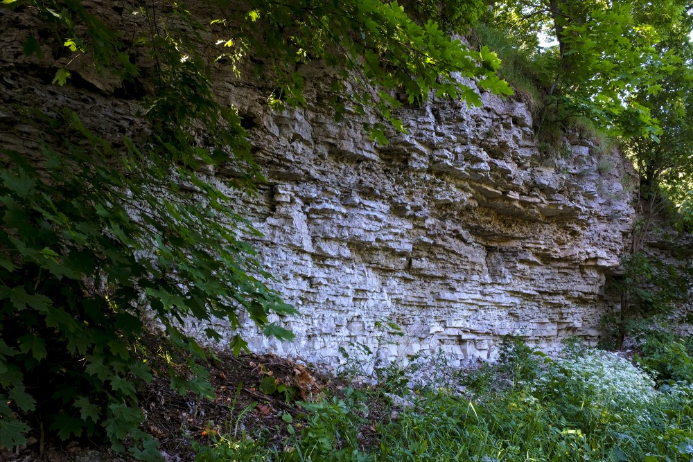 Dolomite Outcrops Near Bauska Castle