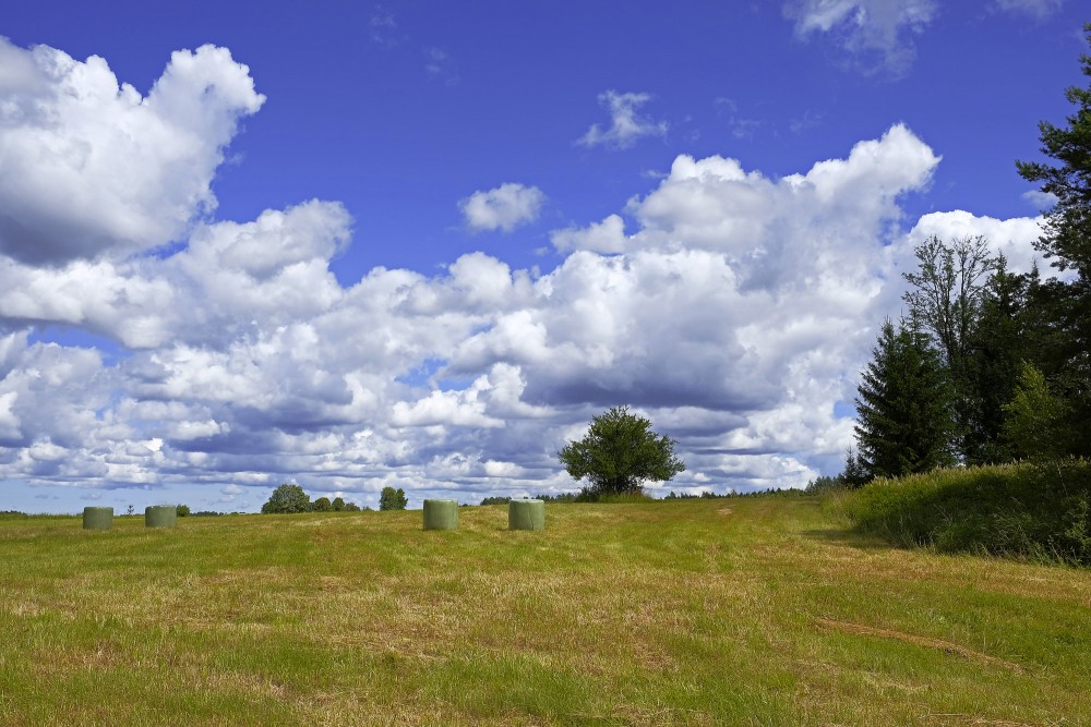 Landscape With Cumulus Clouds And Hay Rolls