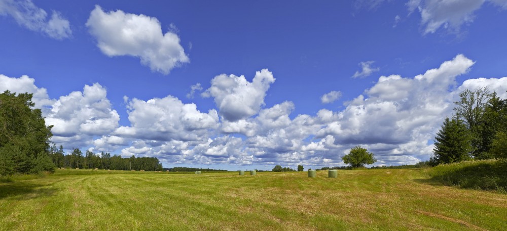 Rural Panorama And Cumulus cloud