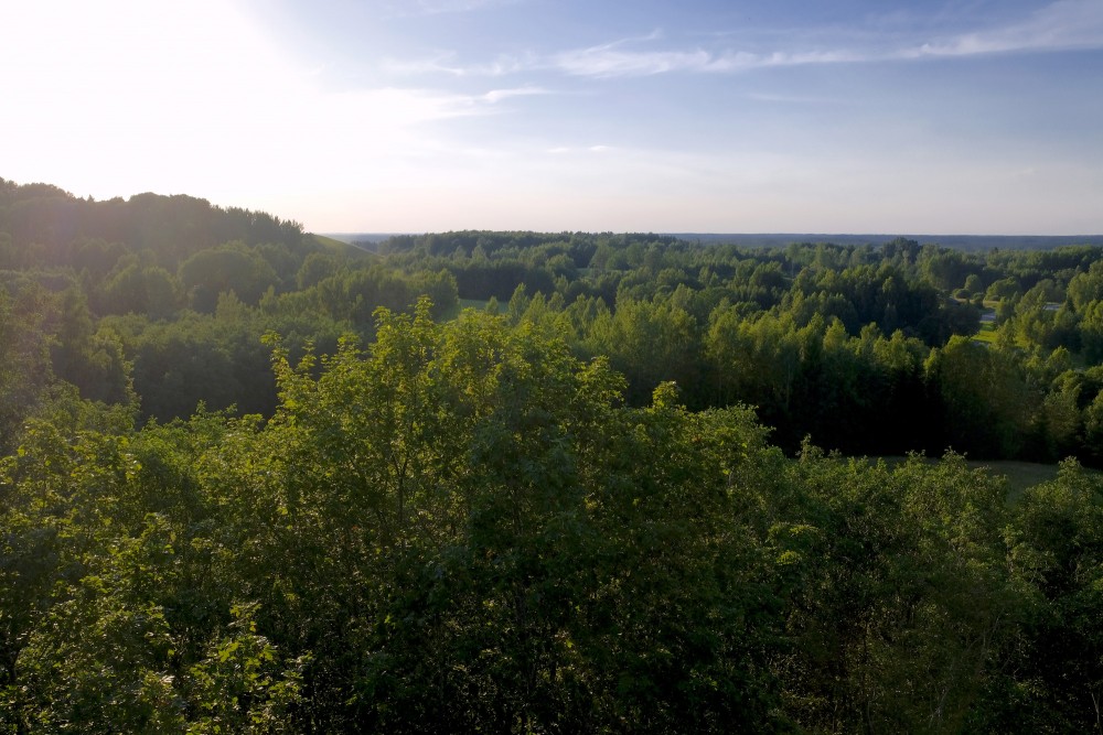 Skats no Kornetu Dzērves kalna skatu torņa