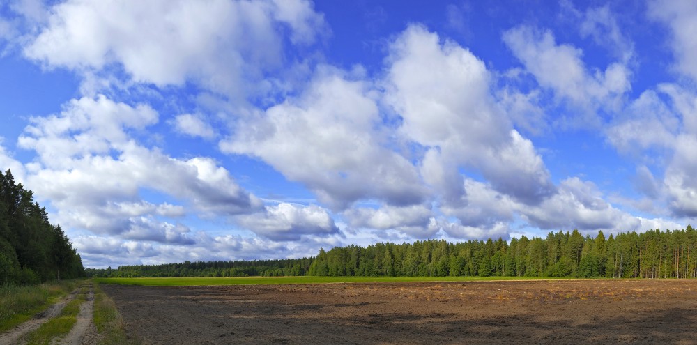 Panorama With Cumulus Clouds And Plowed Field
