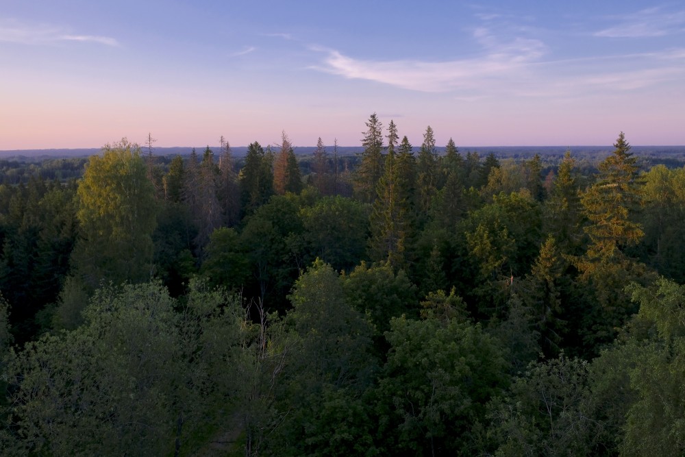 Skats no Dēliņkalna skatu torņa