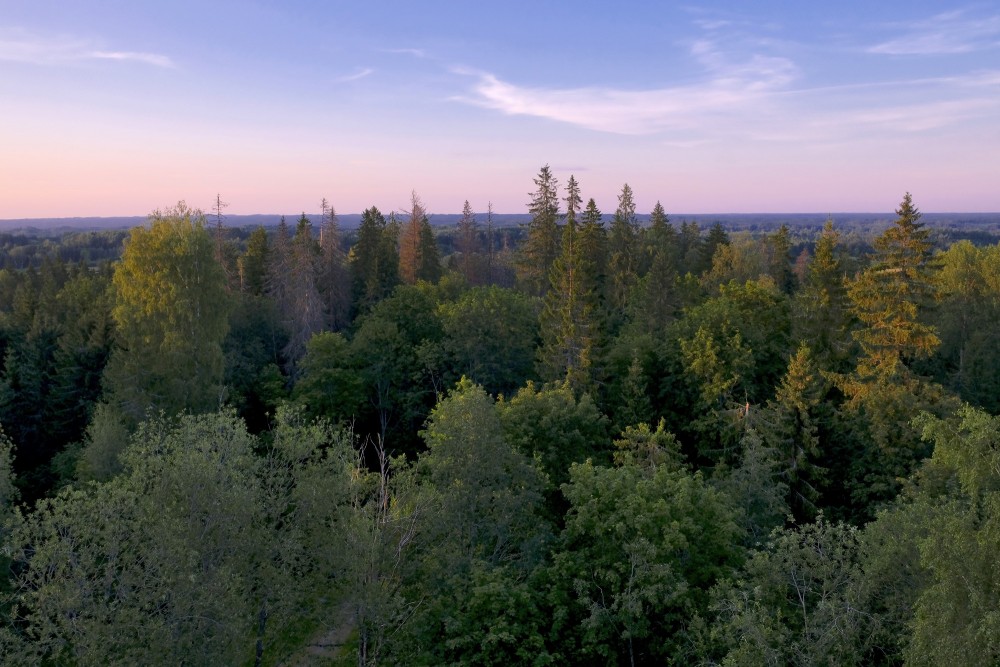Skats no Dēliņkalna skatu torņa