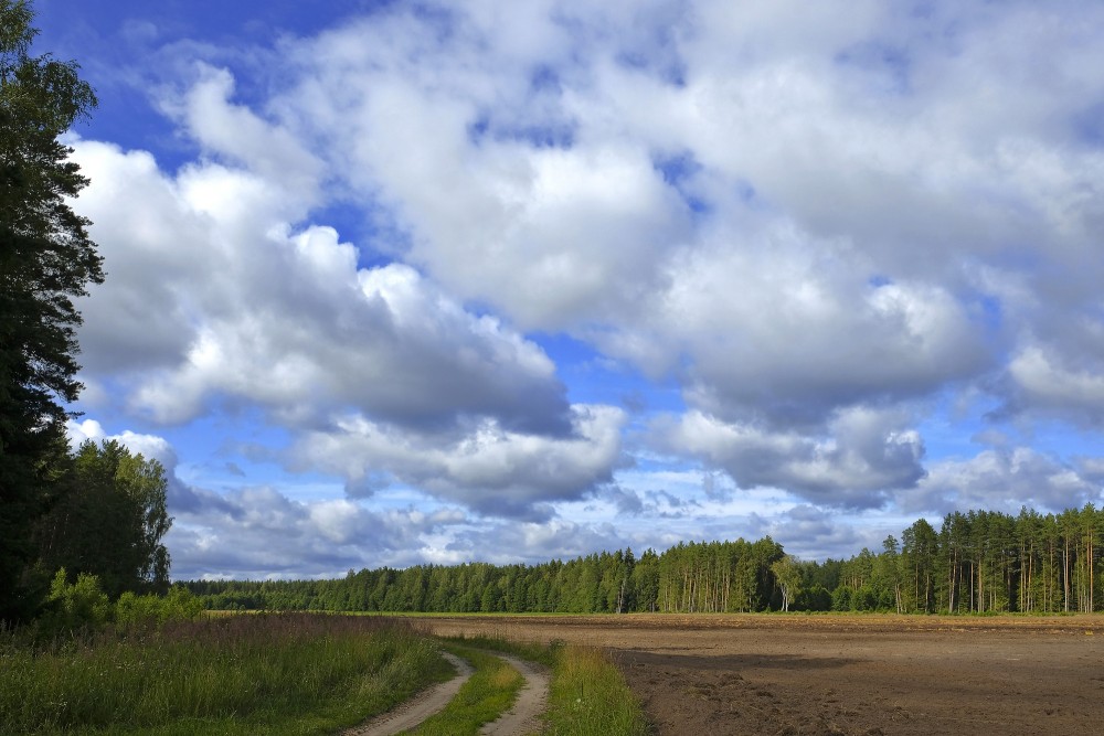 Landscape With Cumulus Clouds And Plowed Field