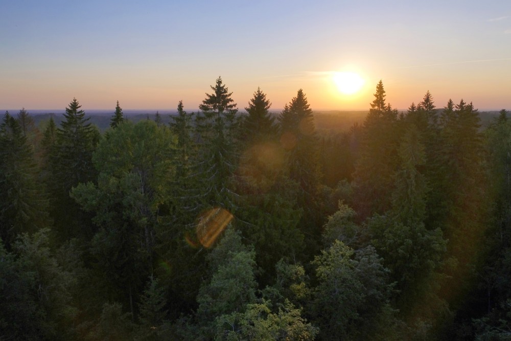 Skats no Dēliņkalna skatu torņa saulrietā