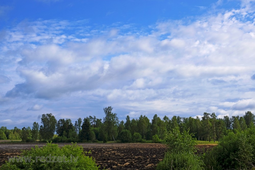 Rural Landscape, Plowed Field