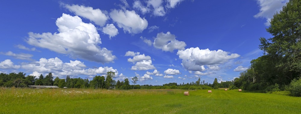 Rural Panorama with Hay Rolls,