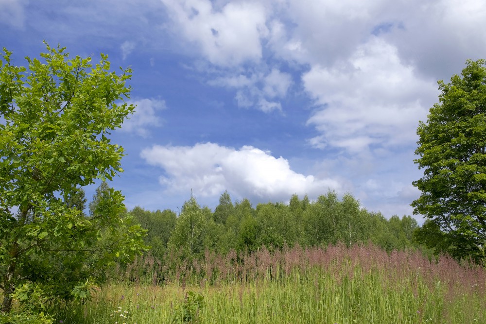 Latvijas ainava, mākoņainas debesis