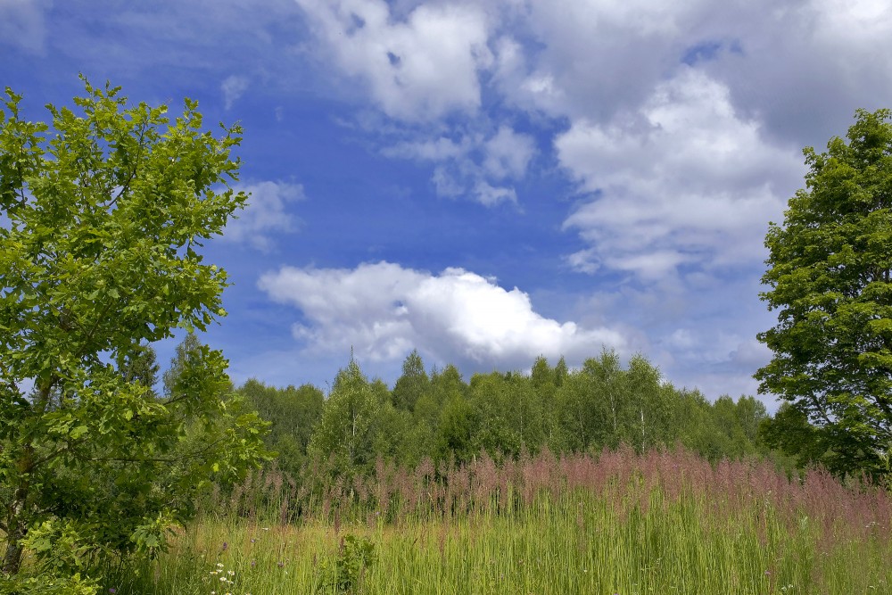 Latvijas ainava, mākoņainas debesis