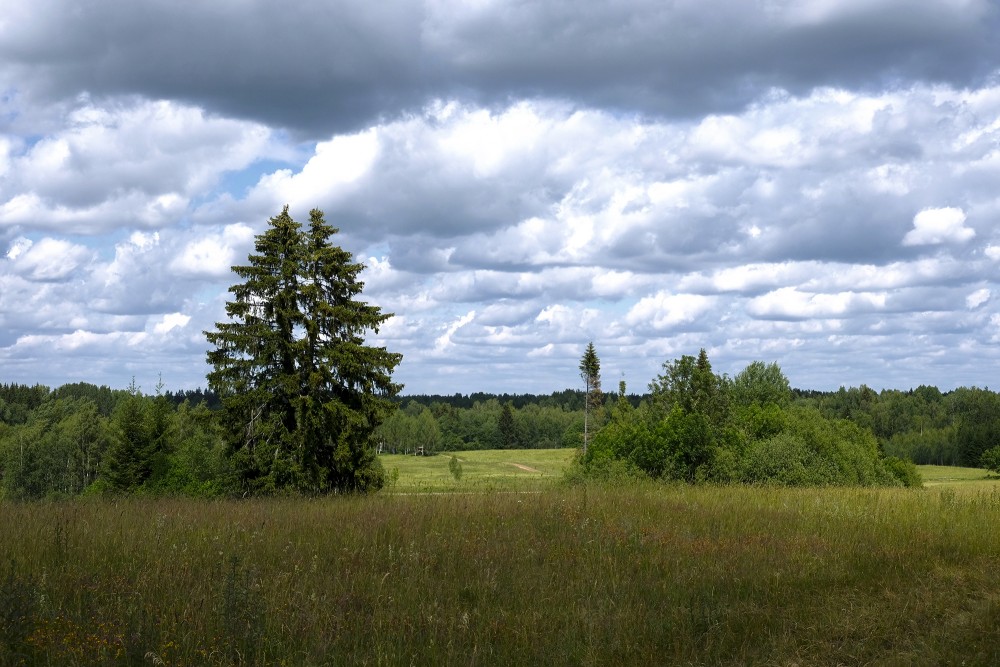 Countryside Landscape, Cloudy Sky