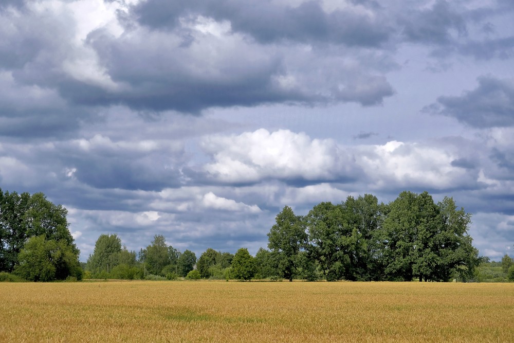 Latvijas lauku ainava