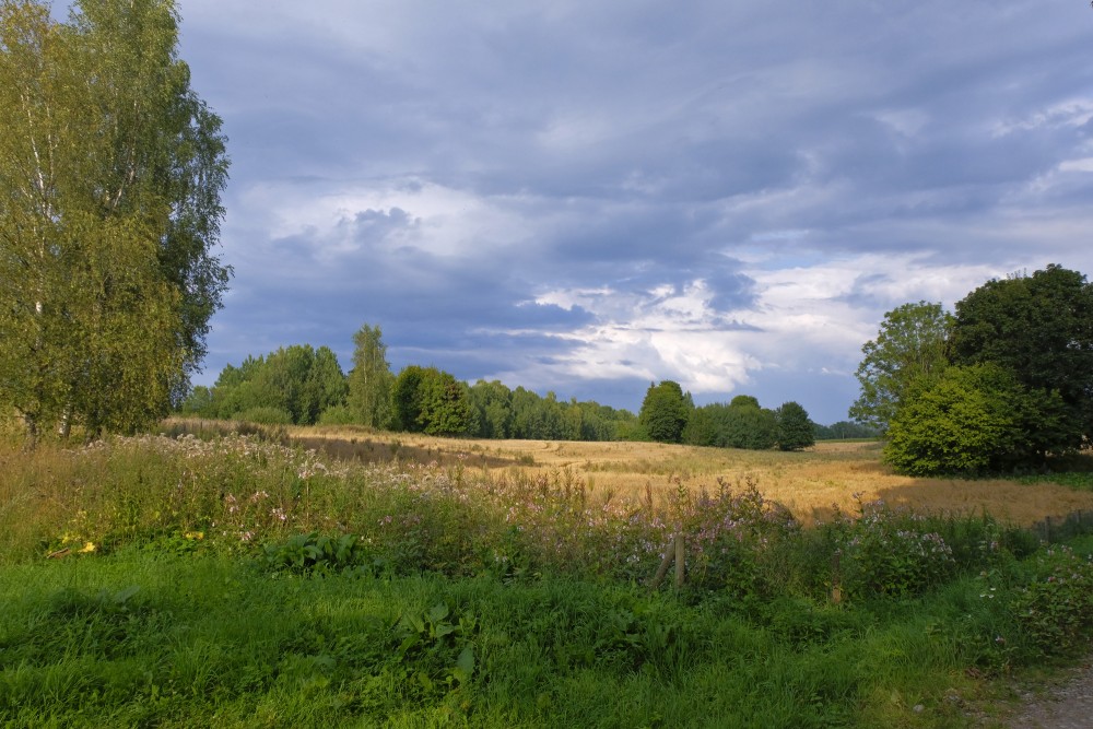 Latvian Countryside Landscape in August