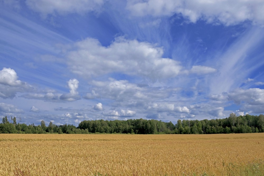 Skaistas, mākoņainas debesis
