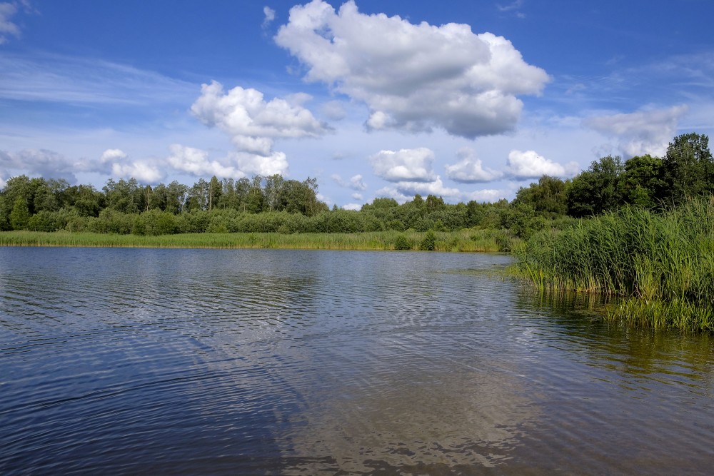 Ainava ar gubumākoņiem