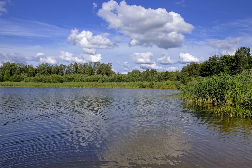 Landscape with Cumulus Clouds