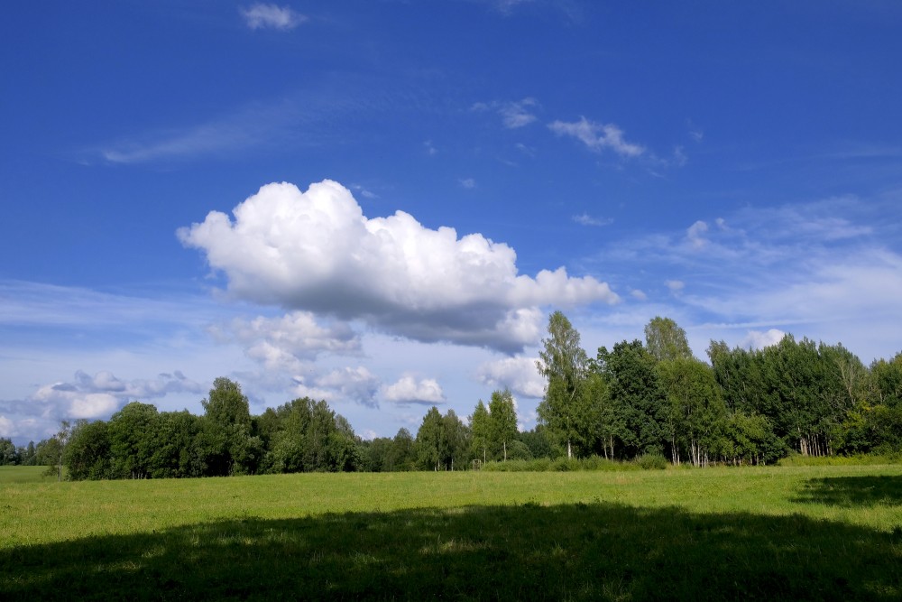 Ainava ar lielu gubumākoni