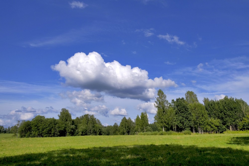 Landscape with Cumulus Clouds