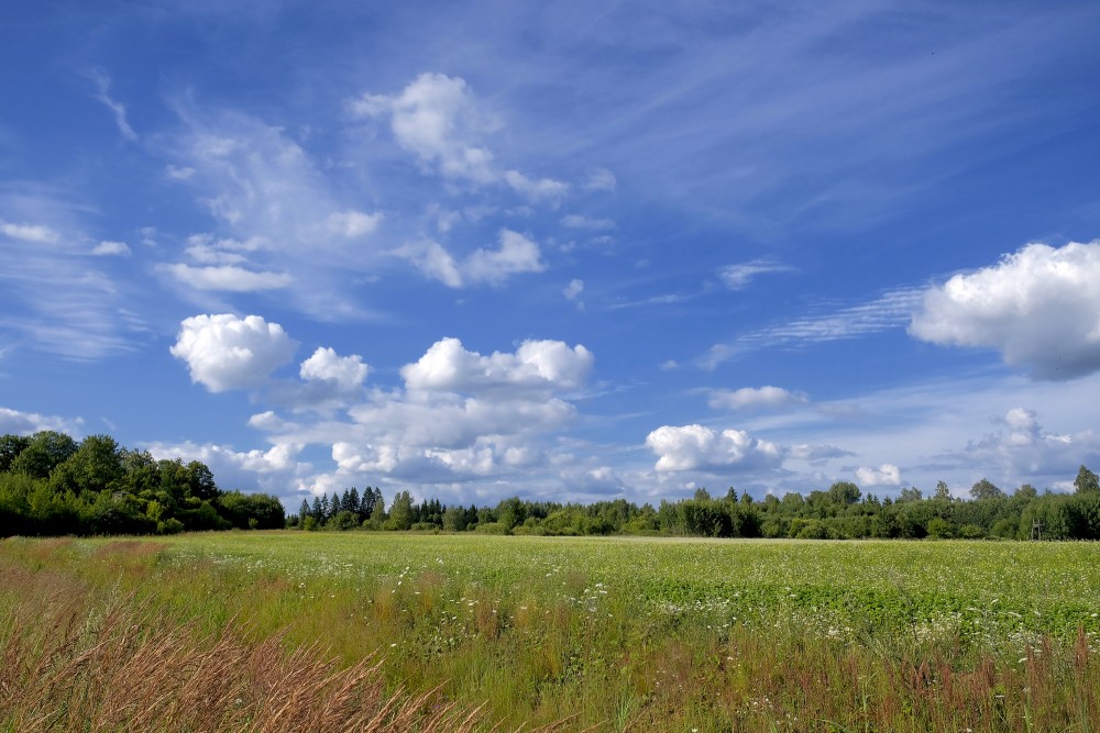 Lauku ainava ar gubu mākoņiem