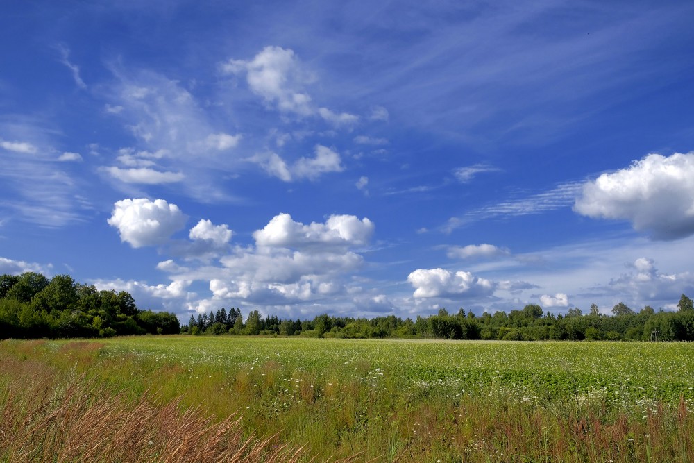 Rural Landscape with Cumulus Clouds