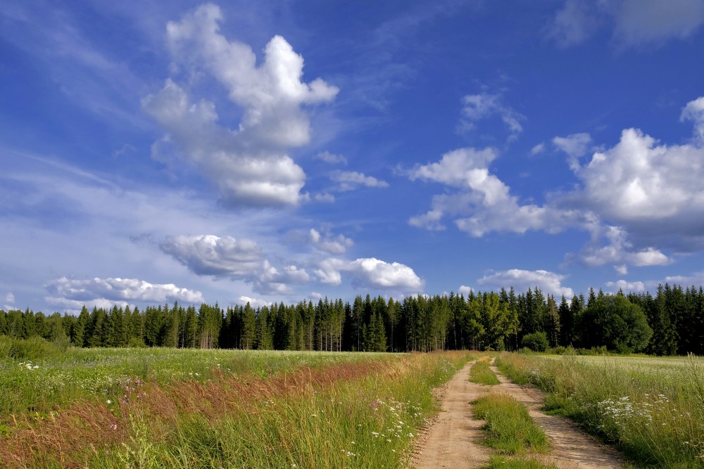 Ainava ar lauku ceļu, mākoņainas debesis