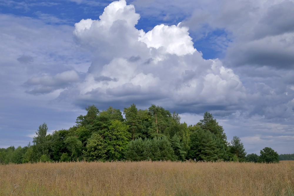 Rural Landscape, Cloudy Sky