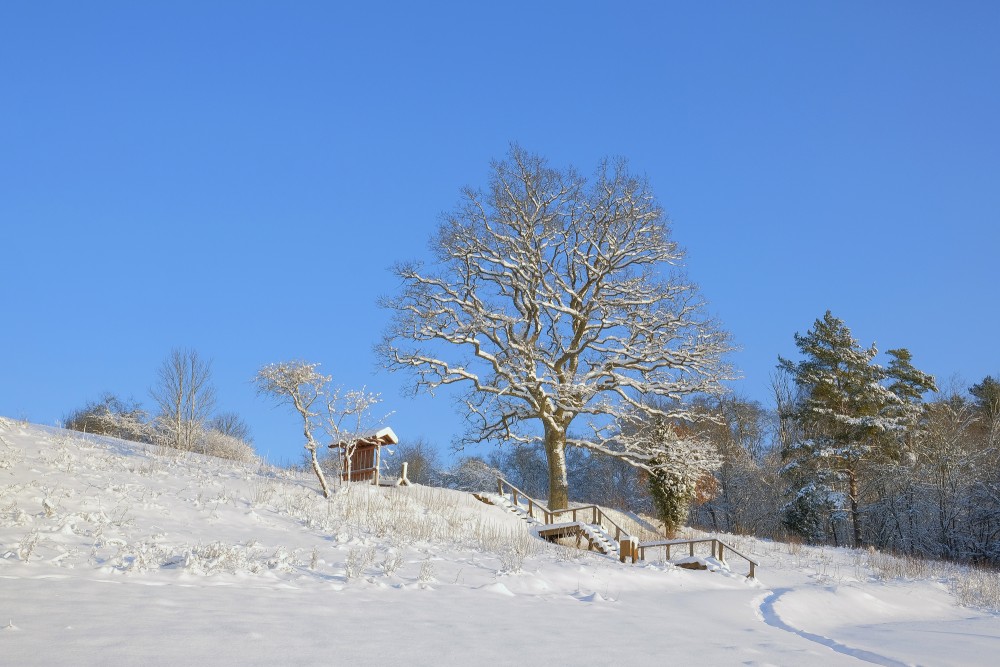 A Viewing Area on Greili Hill in Winter